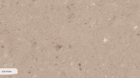 4230 Shitake