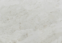BQ8891 MADREPEROLA (H)