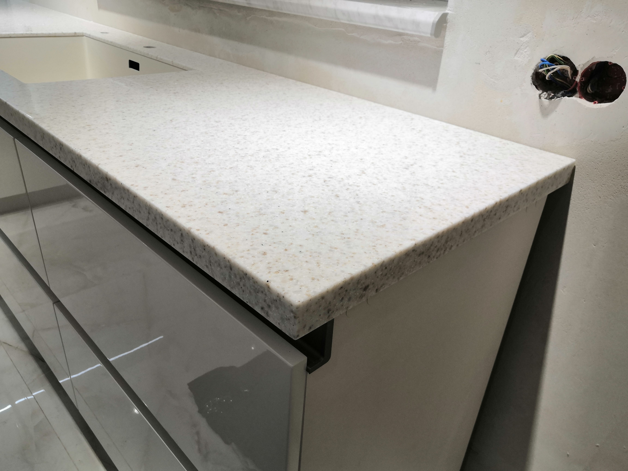 Quarry (Talus) Oyster T0310