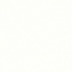 Bright White BW010
