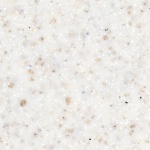 Quarry (Talus) Oyster T0310