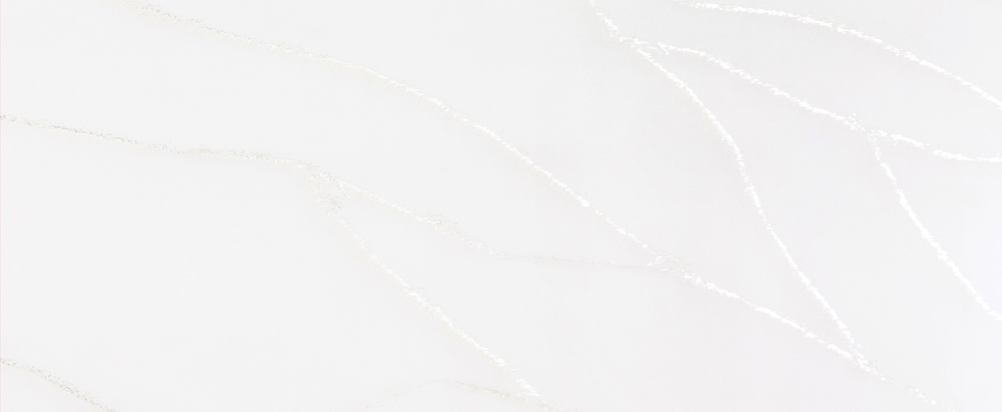 VM-001 VENATO SPARKLE