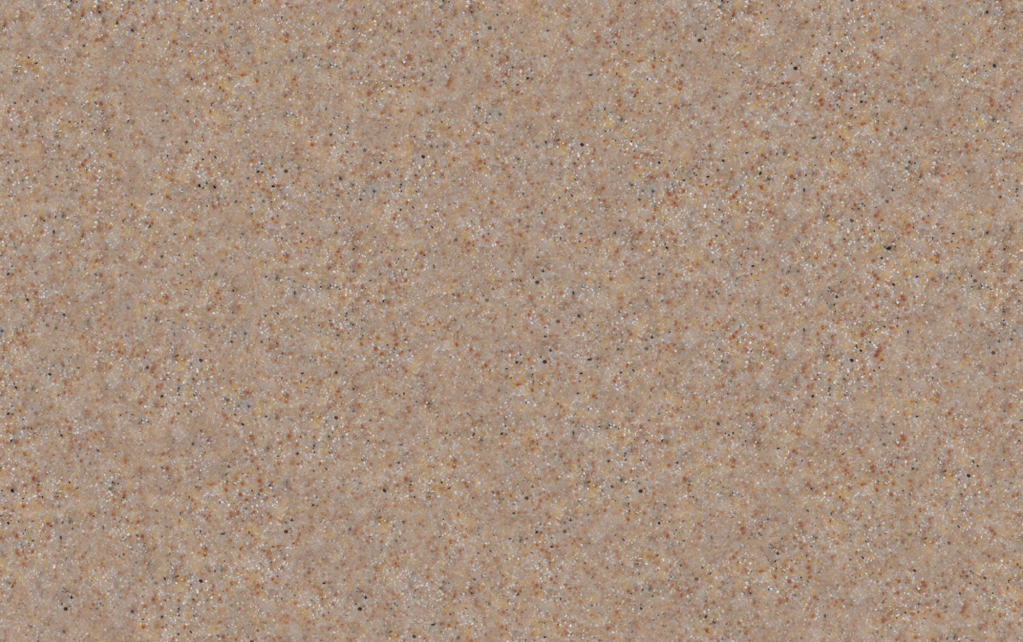 S-206 Wet Sand