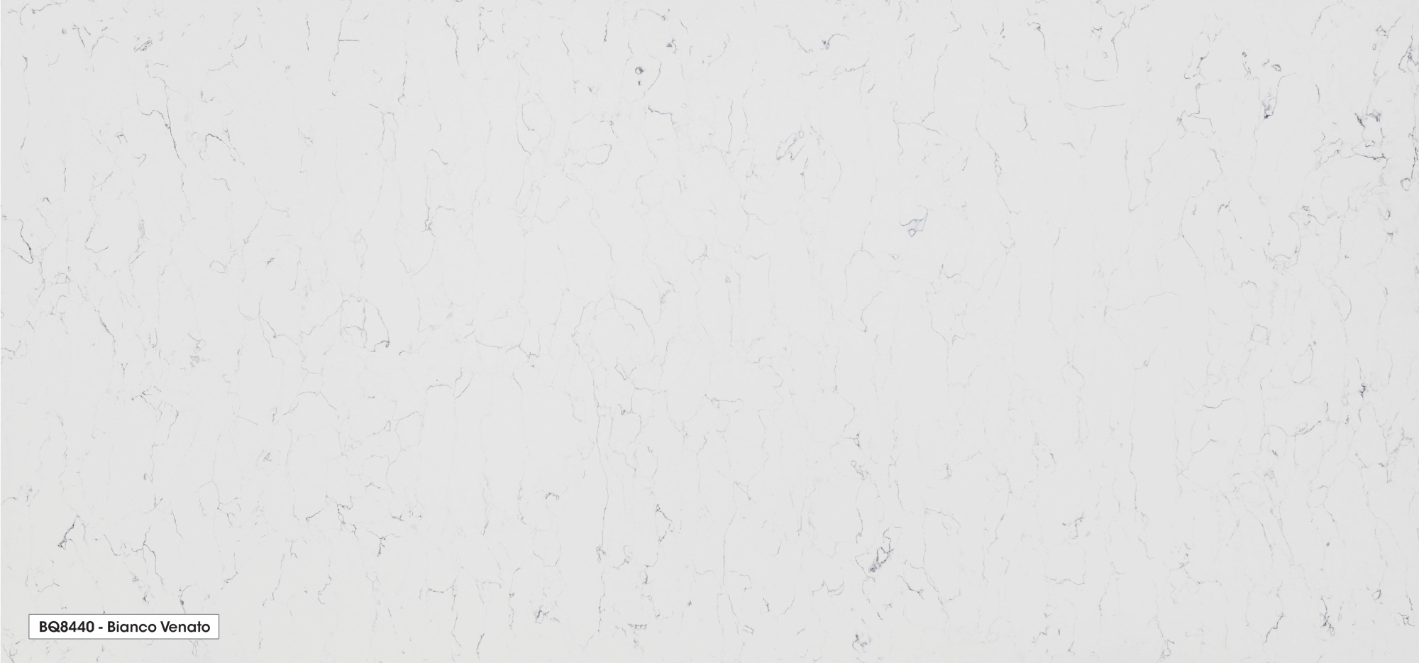 BQ8440 BIANCO VENATO