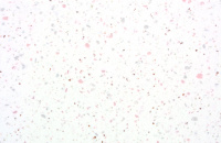 Q106 Terrazzo Marsala